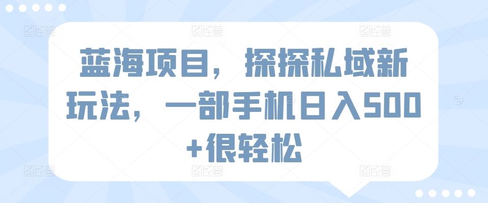 蓝海项目，探探私域新玩法，一部手机日入500+很轻松【揭秘】-优创项目网