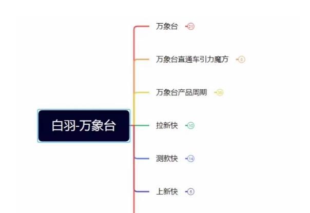 白羽·直引万搜索全篇，从0-1，多个类目实操经验总结付费-优创项目网