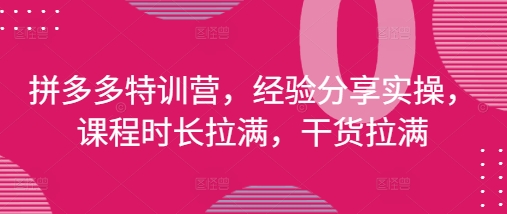 拼多多特训营，经验分享实操，课程时长拉满，干货拉满(更新25年4月)-优创项目网
