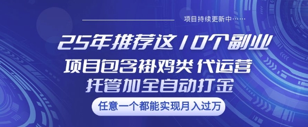 25年推荐这10个副业项目包含褂鸡类、代运营托管类、全自动打金类【揭秘】-优创项目网