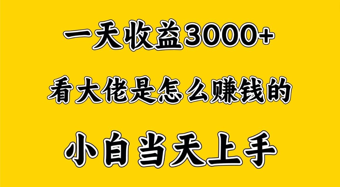 一天赚3000多，大佬是这样赚到钱的，小白当天上手，穷人翻身项目-优创项目网