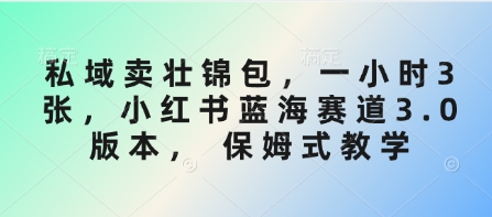 私域卖壮锦包，一小时3张，小红书蓝海赛道3.0版本， 保姆式教学-优创项目网