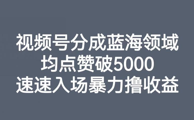 视频号分成蓝海领域，均点赞破5000，速速入场暴力撸收益-优创项目网
