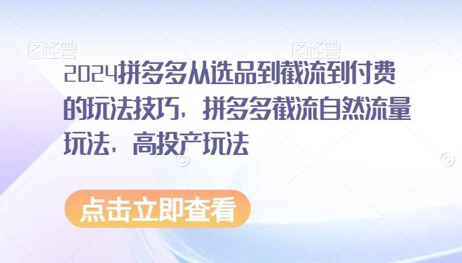 2024拼多多从选品到截流到付费的玩法技巧，拼多多截流自然流量玩法，高投产玩法-优创项目网