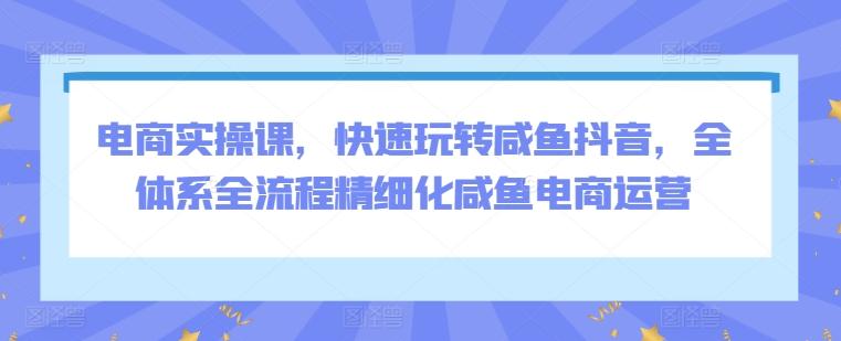 电商实操课，快速玩转咸鱼抖音，全体系全流程精细化咸鱼电商运营-优创项目网