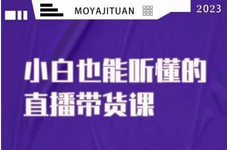 大威本威·能听懂的直播带货课，小白也能听懂，20节完整-优创项目网