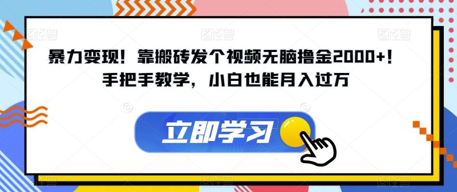 暴力变现！靠搬砖发个视频无脑撸金2000+！手把手教学，小白也能月入过万【揭秘】-优创项目网