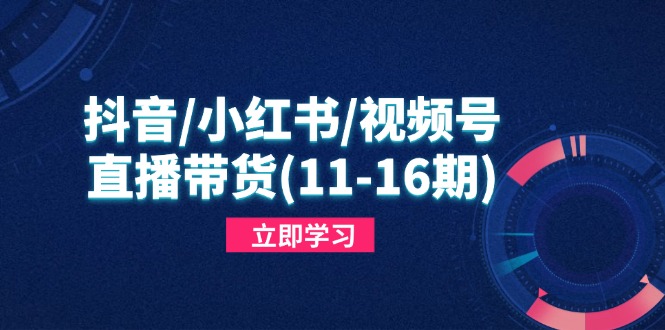 抖音/小红书/视频号/直播带货(11-16期-优创项目网