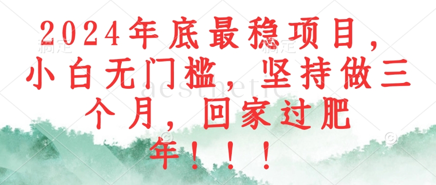 2024年底最稳项目，小白无门槛，坚持做三个月，回家过肥年！！！-优创项目网