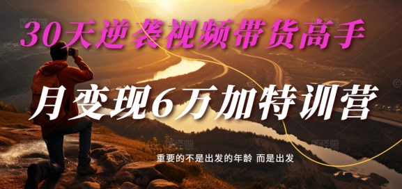 30天逆袭视频带货高手，单月变现6万加特训营-麦子甜-优创项目网