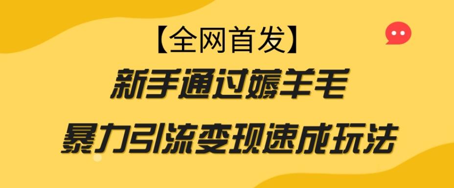 【全网首发】新手通过薅羊毛暴力引流变现速成玩法-优创项目网