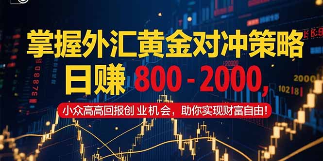 掌握外汇黄金对冲策略，日赚 800 - 2000，小众高回报创业机会，助你实...-优创项目网