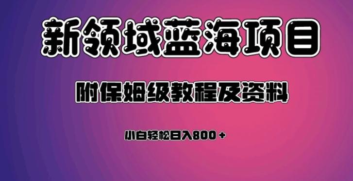 虚拟资源蓝海领域新项目，轻松日入800＋，附保姆级教程及资料-优创项目网