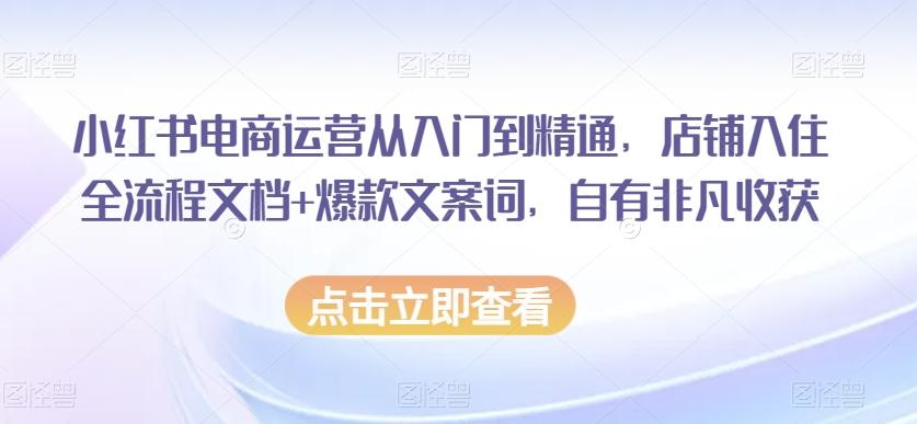 小红书电商运营从入门到精通，店铺入住全流程文档+爆款文案词，自有非凡收获-优创项目网