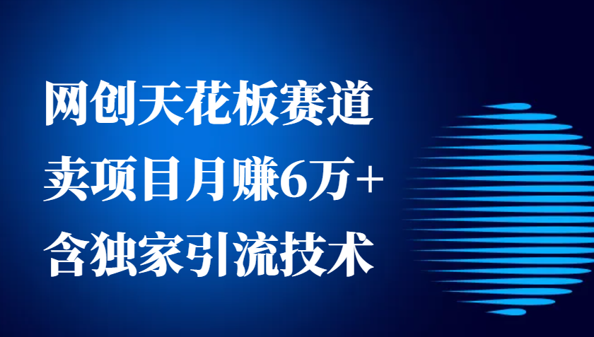 网创天花板赛道，卖项目月赚6万+，含独家引流技术(共26节课)-优创项目网