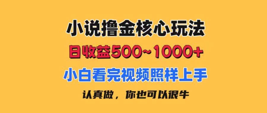 小说撸金核心玩法，日收益500-1000+，小白看完照样上手，0成本有手就行-优创项目网