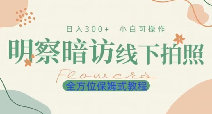 明拍暗拍项目0成本投入日入300+小白可操作保姆式全方位教程-优创项目网