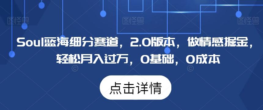 Soul蓝海细分赛道，2.0版本，做情感掘金，轻松月入过万，0基础，0成本-优创项目网