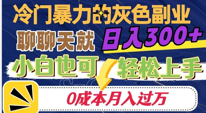 冷门暴利的副业项目，聊聊天就能日入300+，0成本月入过万【揭秘】-优创项目网