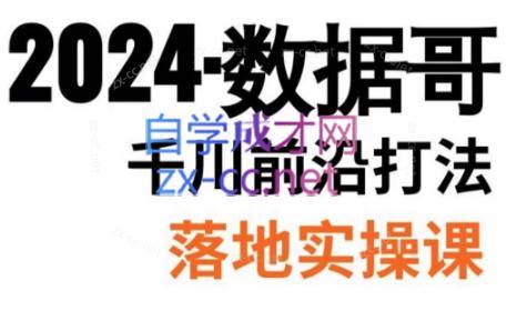 数据哥·2024年千川前沿打法落地实操课-优创项目网