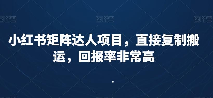 小红书矩阵达人项目，直接复制搬运，回报率非常高-优创项目网