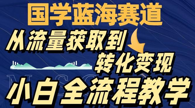国学蓝海赛道，从流量获取，到转化变现，全流程教学-优创项目网