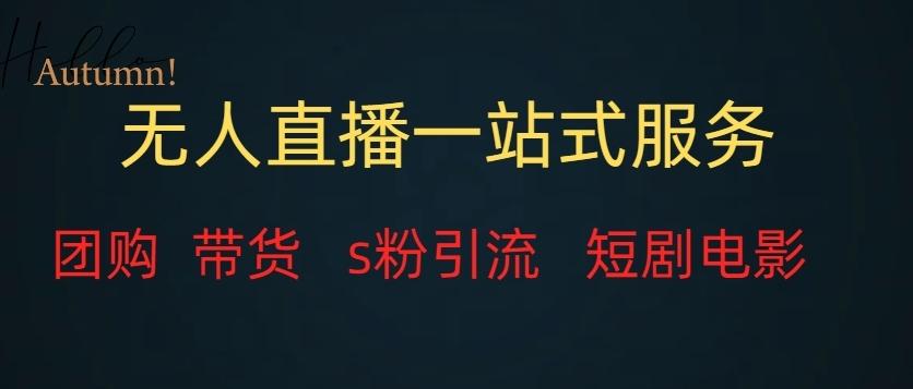 无人直播一站式服务（教程以及变现方式）-优创项目网