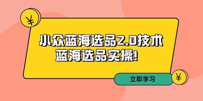 拼多多培训第33期：小众蓝海选品2.0技术-蓝海选品实操！-优创项目网