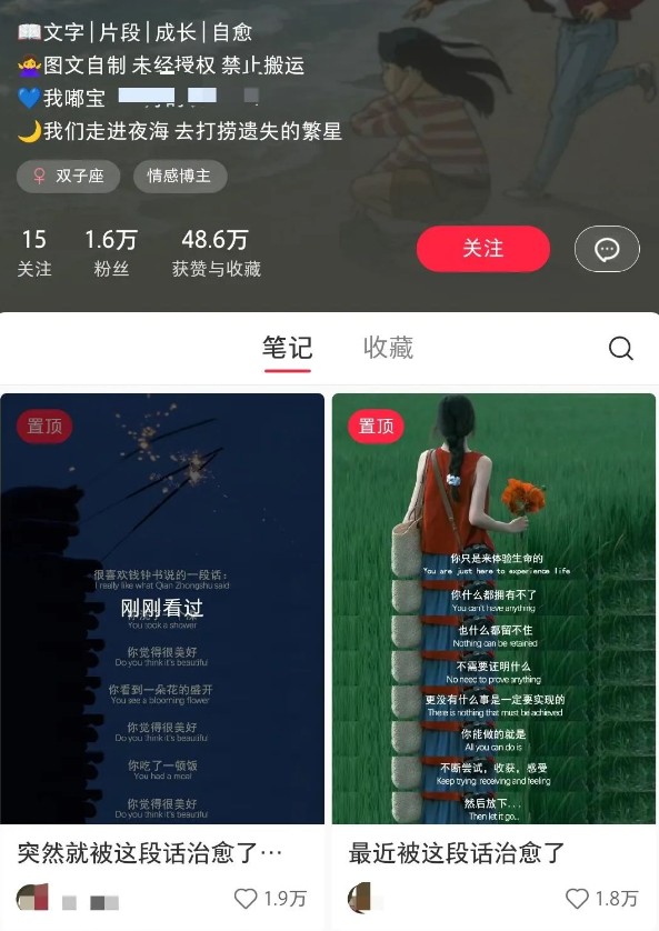 小红书治愈文案图文笔记，零门槛，一分钟制作轻松制作爆款作品月入万元-优创项目网