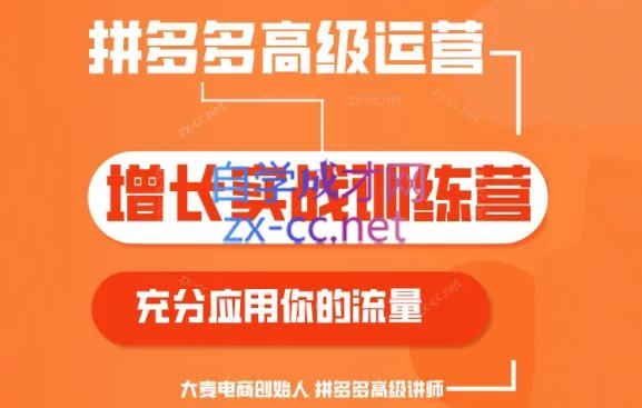 大麦老师·拼多多单品爆款打造课程(更新6月)-优创项目网