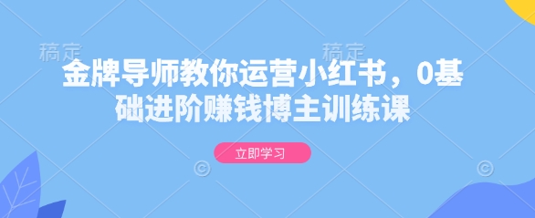 金牌导师教你运营小红书，0基础进阶赚钱博主训练课-优创项目网