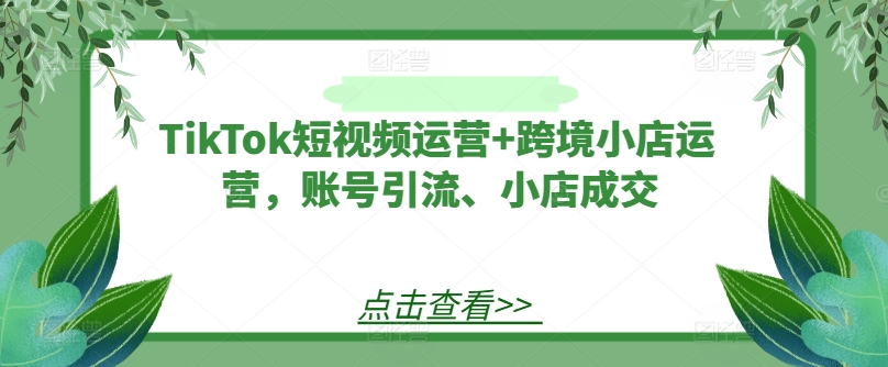 TikTok短视频运营+跨境小店运营，账号引流、小店成交-优创项目网