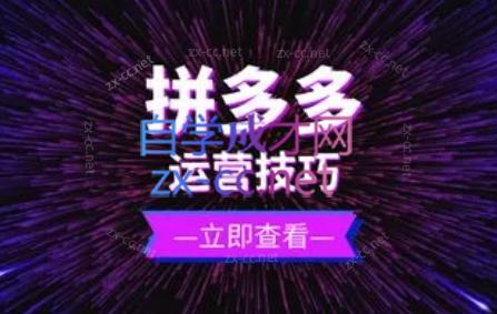 力辛电商·拼多多强付费店群玩法-优创项目网
