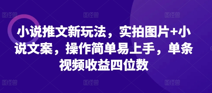 小说推文新玩法，实拍图片+小说文案，操作简单易上手，单条视频收益四位数-优创项目网