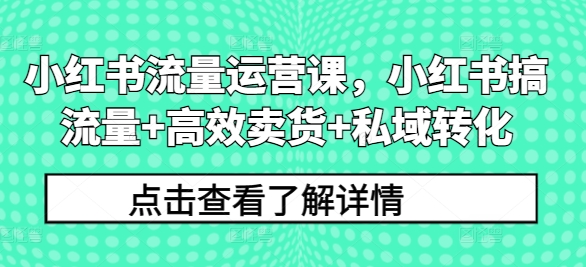 小红书流量运营课，小红书搞流量+高效卖货+私域转化-优创项目网