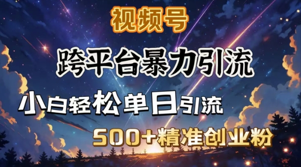 跨平台暴力引流，私域完美闭环，日引500+精准创业粉-优创项目网