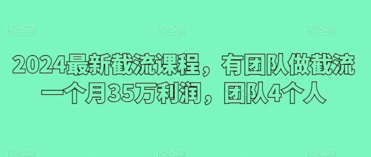 2024最新截流课程，有团队做截流一个月35万利润，团队4个人-优创项目网