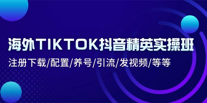 海外TIKTOK抖音精英实操班：注册下载/配置/养号/引流/发视频/等等-优创项目网
