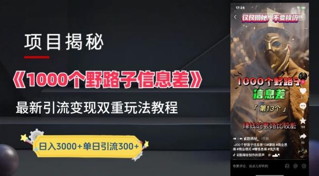 一千个野路子信息差最新玩法教程-变现+引流的玩法具体拆解【揭秘】-优创项目网