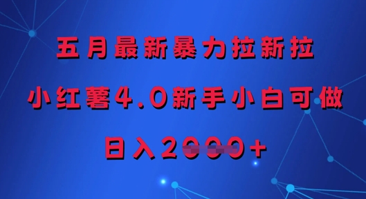 五月最新暴力拉新拉，小红薯4.0新手小白可做，日入多张-优创项目网