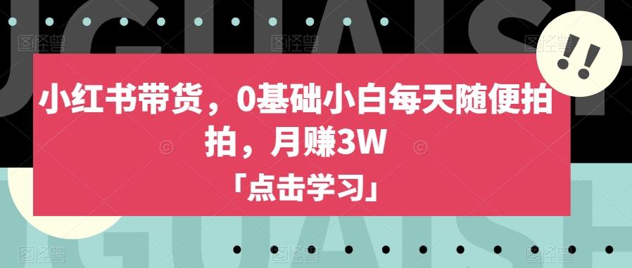 小红书带货，0基础小白每天随便拍拍，月赚3W【揭秘】-优创项目网