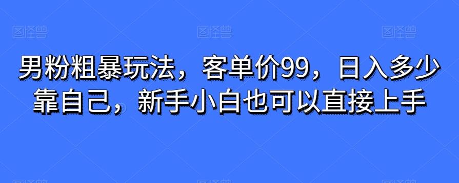 男粉粗暴玩法，客单价99，日入多少靠自己，新手小白也可以直接上手-优创项目网