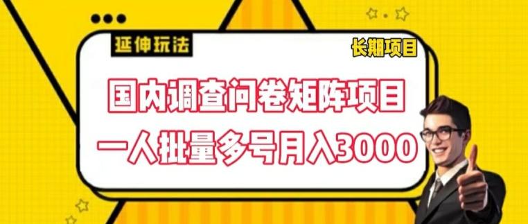 国内调查问卷矩阵项目，一人批量多号月入3000【揭秘】-优创项目网