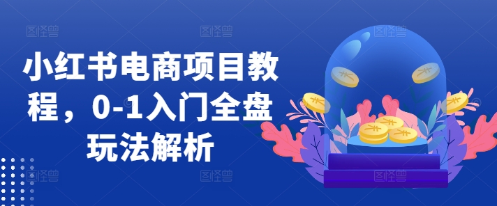 小红书电商项目教程，0-1入门全盘玩法解析-优创项目网