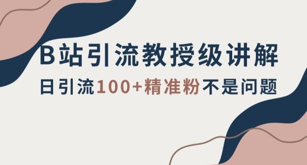 B站引流教授级讲解，细节满满，日引流100+精准粉不是问题【揭秘】-优创项目网