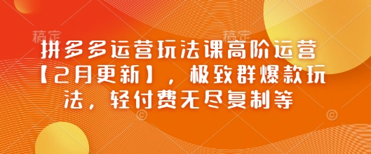 拼多多运营玩法课高阶运营【2月更新】，极致群爆款玩法，轻付费无尽复制等-优创项目网