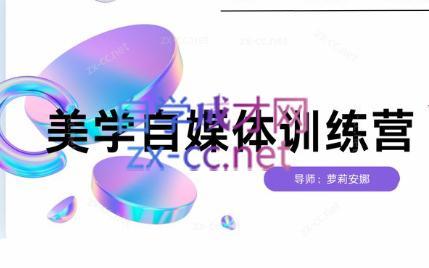 安娜·美学自媒体IP系统课-优创项目网