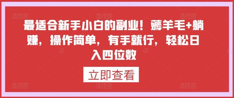 最适合新手小白的副业！薅羊毛+躺赚，操作简单，有手就行，轻松日入四位数【揭秘】-优创项目网