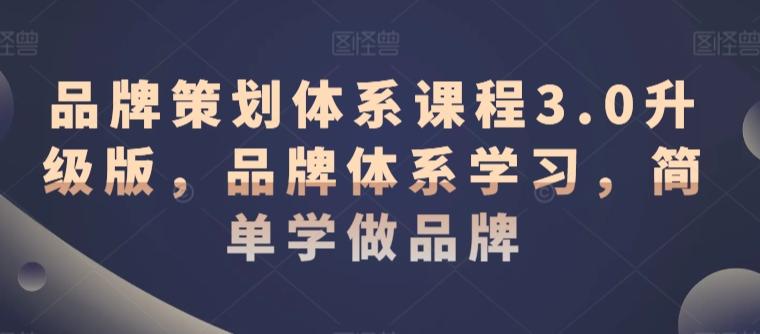 品牌策划体系课程3.0升级版，品牌体系学习，简单学做品牌-优创项目网