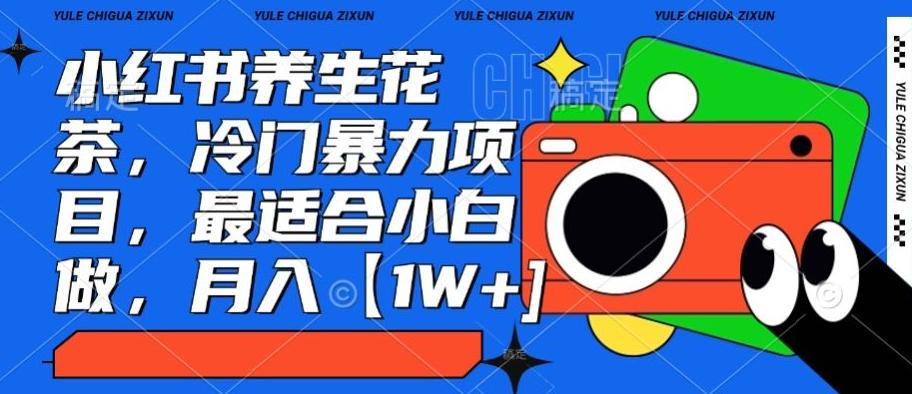 小红书养生花茶，冷门暴力项目，最适合小白做，月入【1W+】-优创项目网